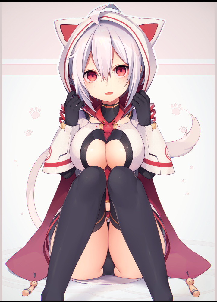 黑猫猫梓