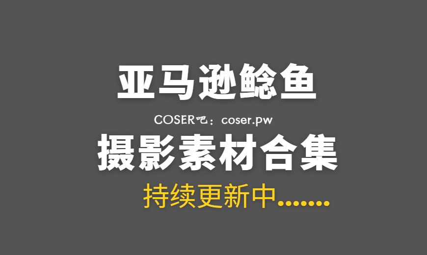 动漫博主 亚马逊鲶鱼 NO.013 – FGO 玛修女仆 [10P-221.56 MB]-Coser吧
