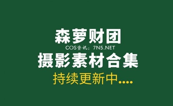 森萝财团 腿控爱好集成者17大系列[毒盘/1013G]