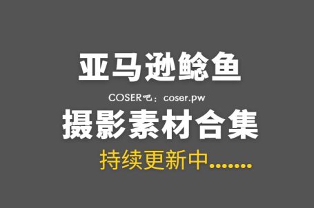 网络红人 亚马逊鲶鱼 21套艺术写真作品合集[756P/8.33GB]