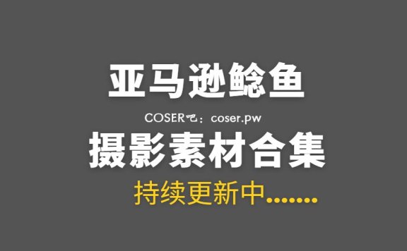 网络红人 亚马逊鲶鱼 10套艺术写真作品合集[439P/5.18GB]