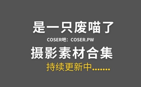 动漫博主 是一只废喵了 14套全套cos作品合集[1044P/2.91GB]